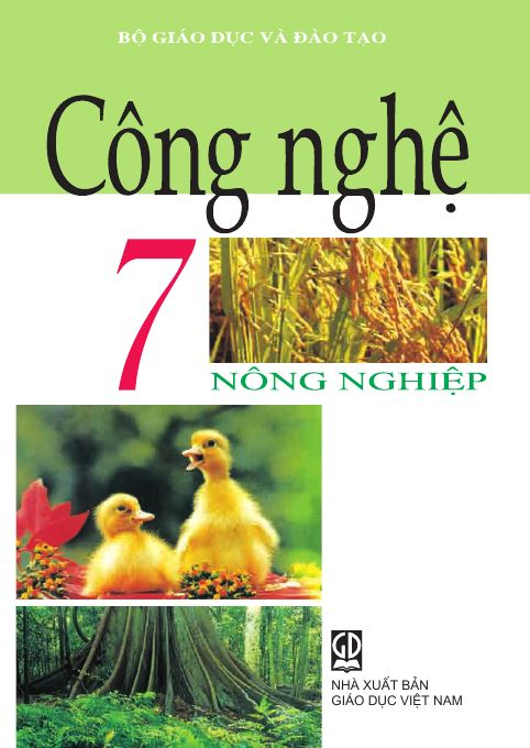 Những góc nhìn văn chương (nghị luận văn học)